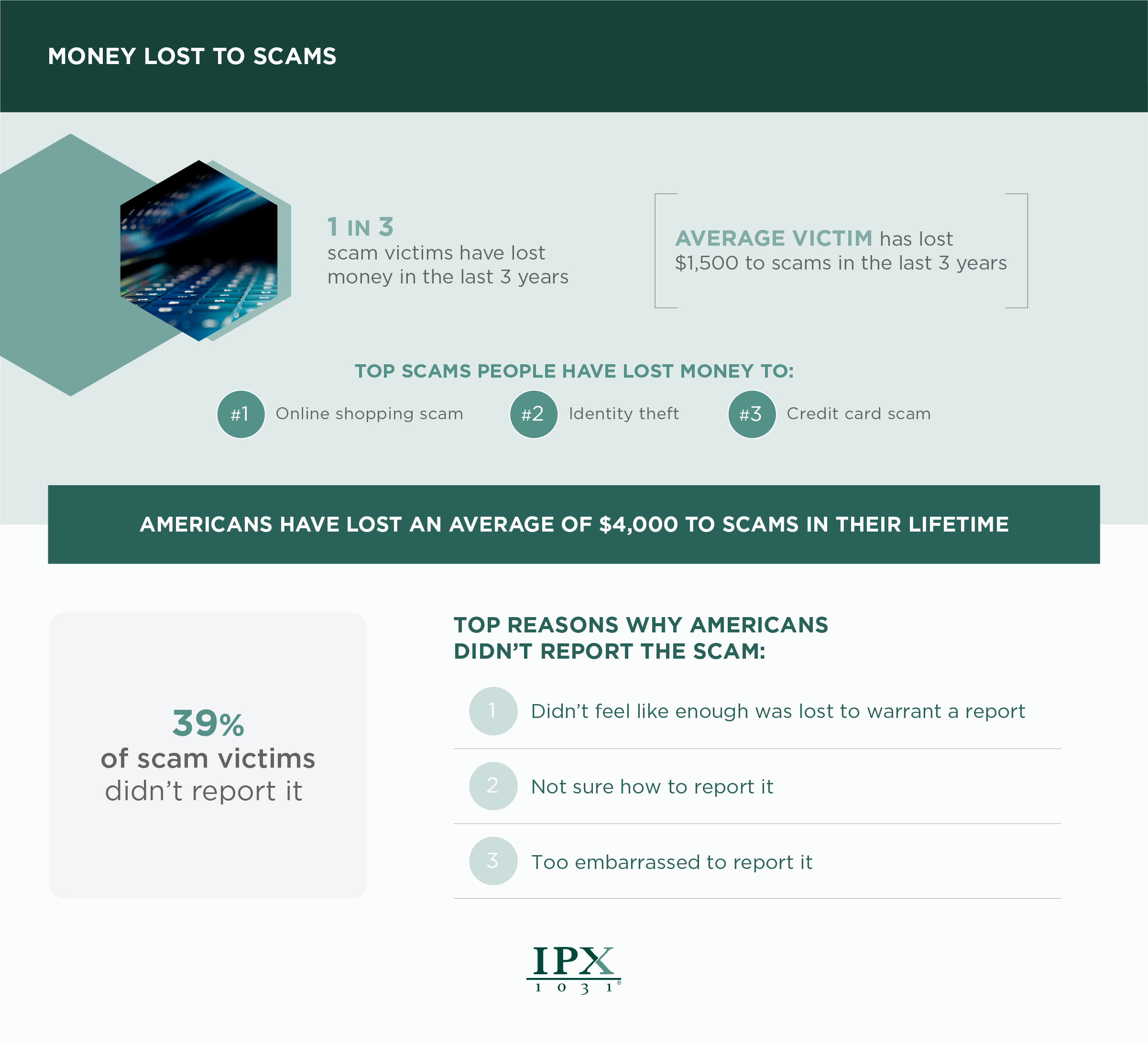 Financial impact of scams on Americans data infographic from ipx1031.com