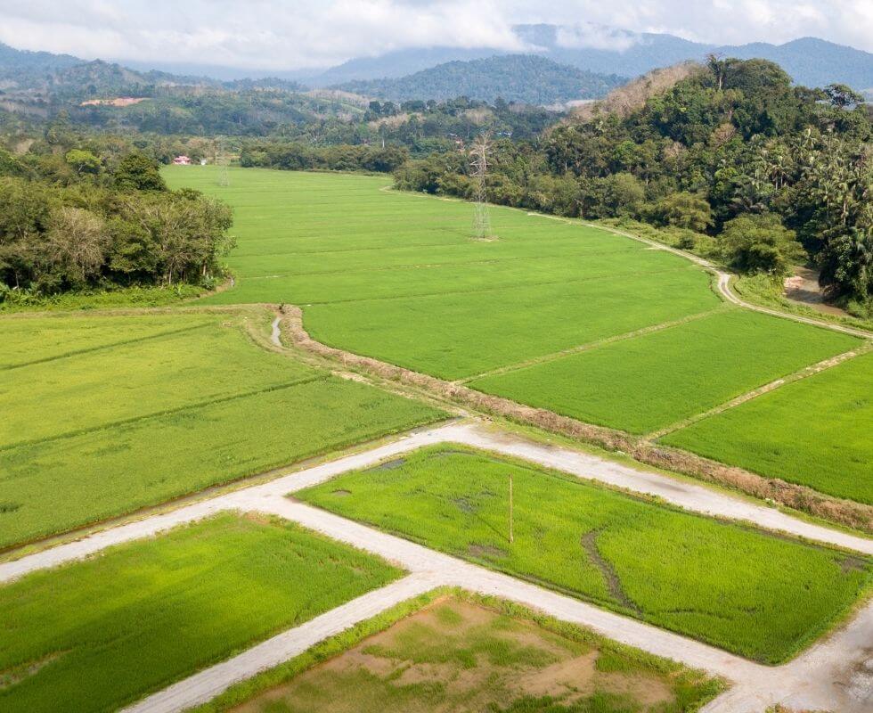 IPX1031-Farmland-and-Agriculture 03