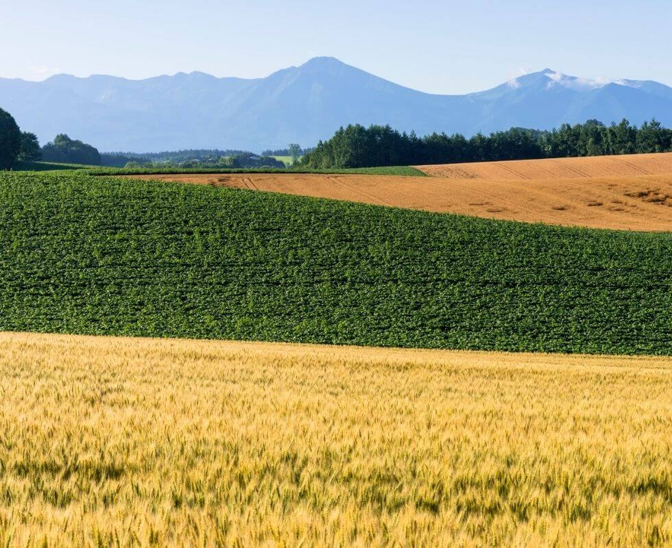 IPX1031-Farmland-and-Agriculture